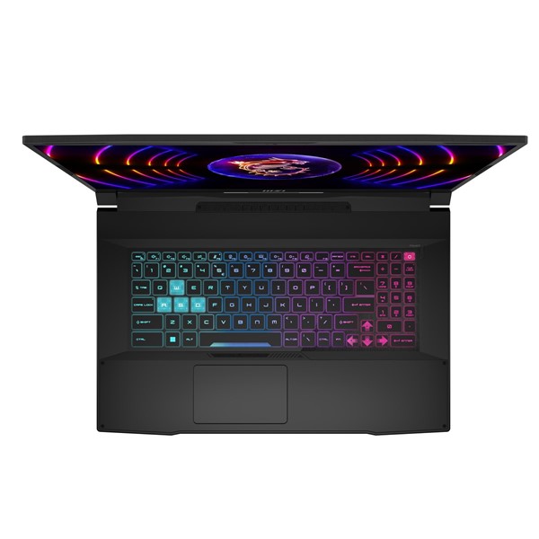  MSI 17.3