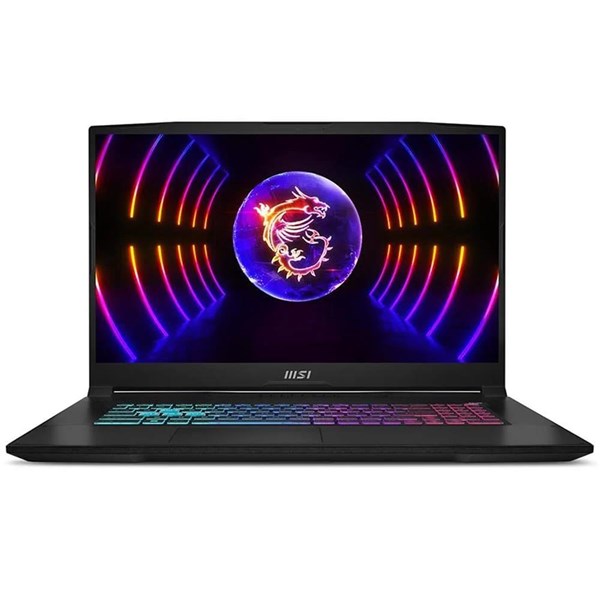 MSI 17.3
